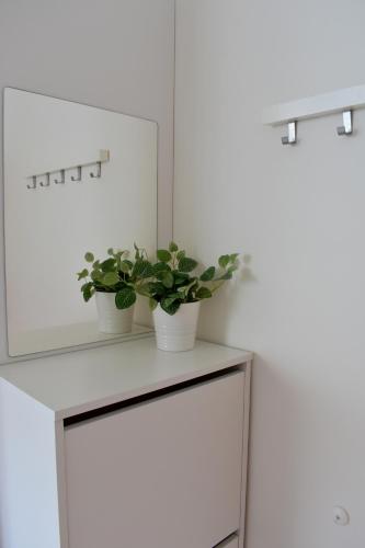 Seifert Residence Room Type - Studio