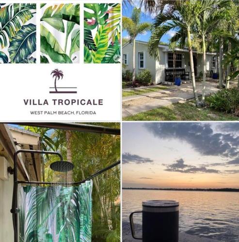 Villa Tropicale in lush garden