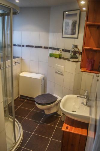 浴室, Pension Muldental Großbothen Wohnung 1 in 格里馬