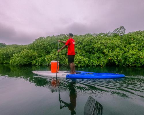 Beqa Lagoon Resort