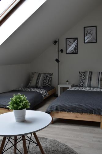 Seifert Residence Room Type - Deluxe Double Studio