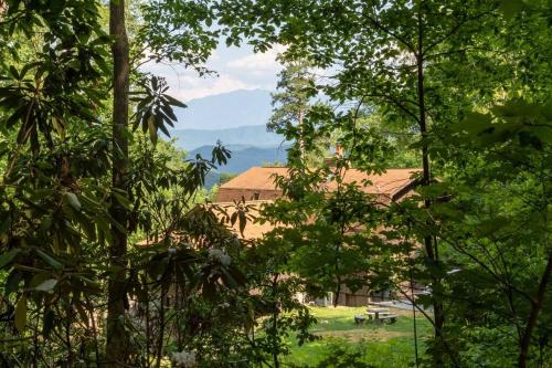 Lazy Bear Cabin - Accommodation - Sevierville