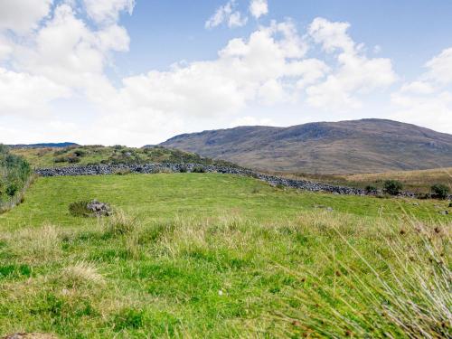 Llety Nest - image 5