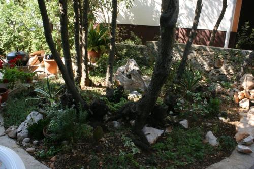 Apartment Mandre 6405b - image 8