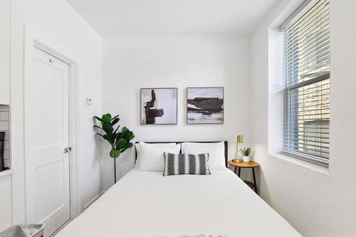 Cozy Uptown Studio with In-unit laundry & Wi-Fi! - Montrose 111 photo 3