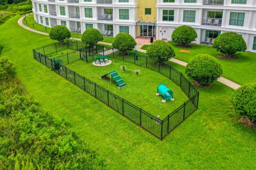 Pet Friendly in Orlando area near Disney thumb 2