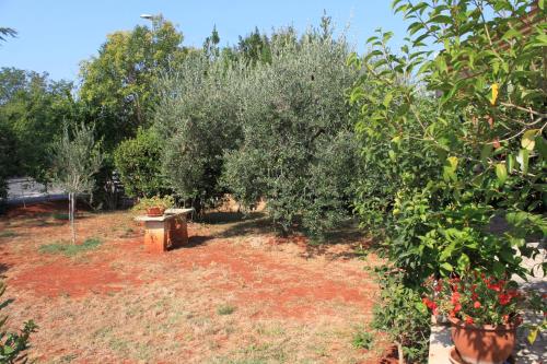 Apartment Umag 6992a - image 12