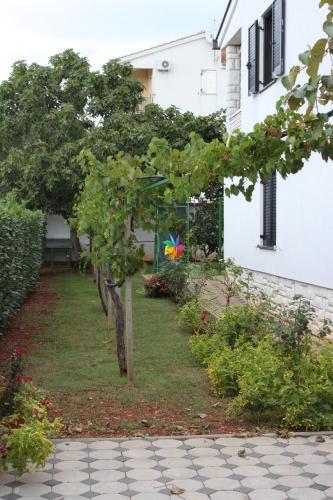 Apartments with a parking space Zambratija Umag - 7059 - image 7