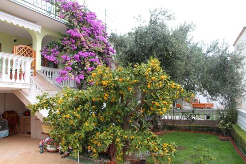 Apartment Vodice 6271c - image 10