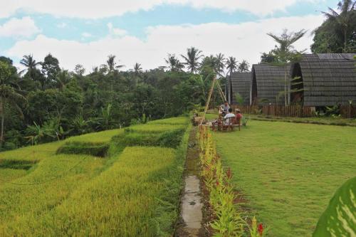 Omah Bapak Ijen Eco House Banyuwangi