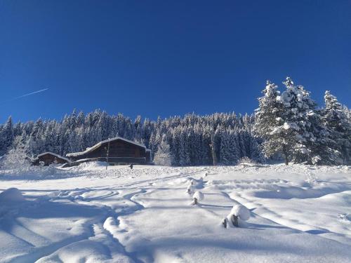 Chalet Lisa B&B near Pre-Favre Ski Lift