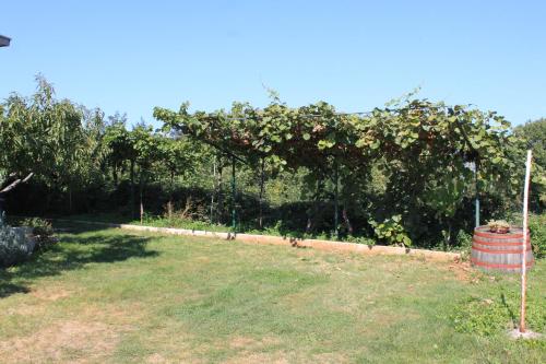 Apartment Basanija 7149b Apartment Basanija 7149b