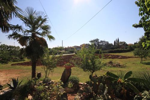 Apartment Basanija 7149b Apartment Basanija 7149b