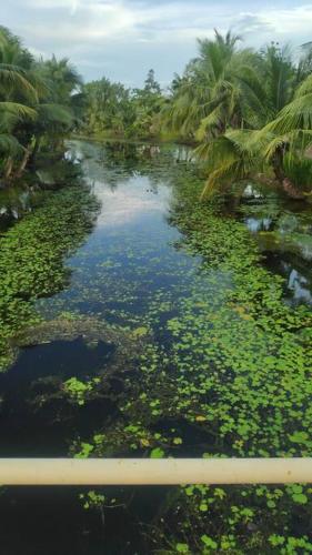Advani Home Stays - A step close to paradise photo