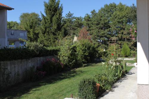 Family friendly apartments with a swimming pool Lindar Central Istria - Sredisnja Istra - 7197 - image 14