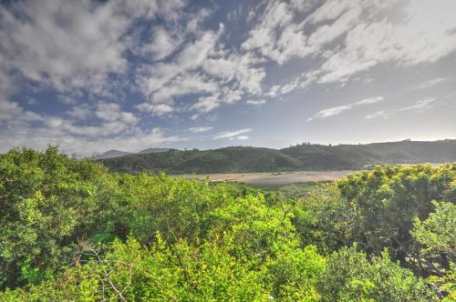 Surrounding environment, Red Door Cottage in Wilderness