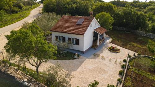 Spignoviza in Mrgani