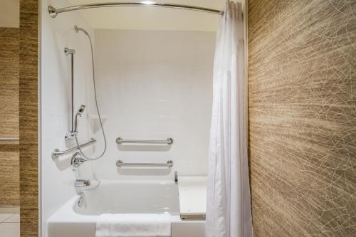 홀리데이 인 테레 호트 바이 IHG - 화장실