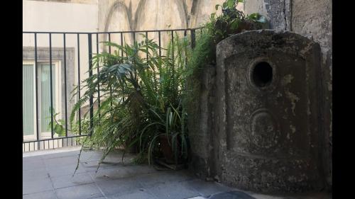 La Galleria, Neapel (Foto 6)