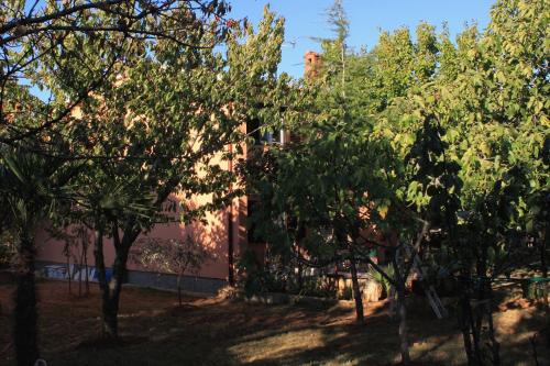  Apartments with a parking space Fazana - 7236 in Fažana