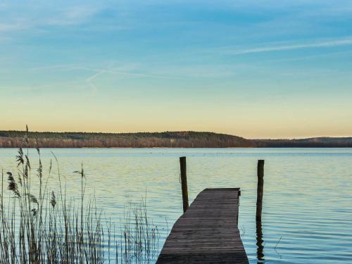 Waldgeflüster am Plauer See