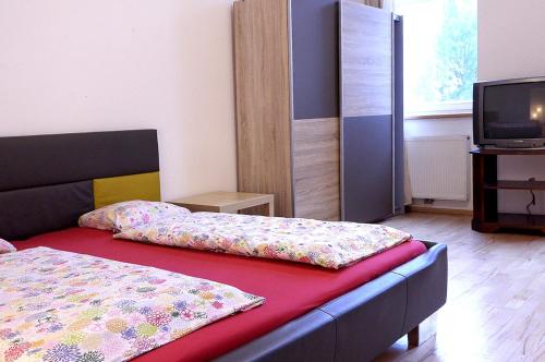 Premium Apartments Klimschgasse, Vídeň (fotografie 4)