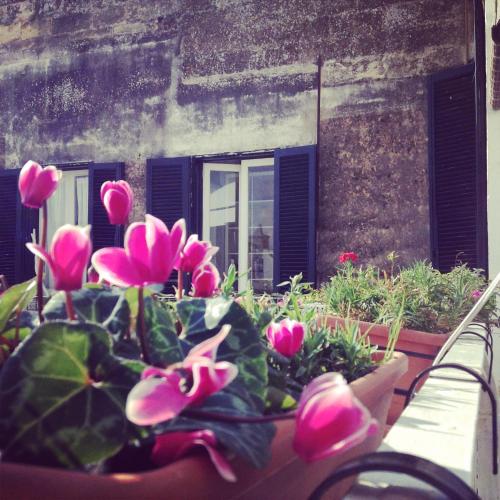 Volver – Lecce, OK