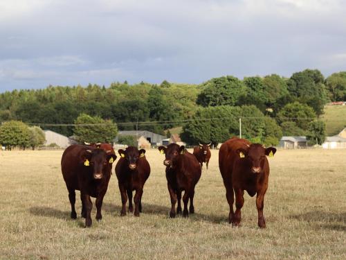 The Anchorage Nables Farm