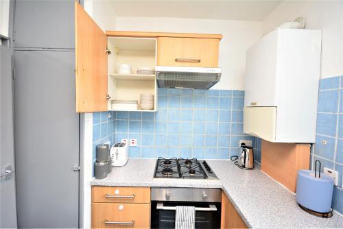 Beautiful London 2 Bedroom Flat near Finsbury Park, Londýn (fotografie 10)