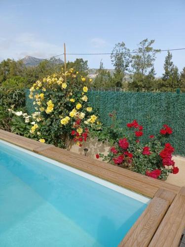 maison cosy climatisée avec piscine et jardin