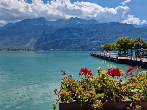 Brienz Youth Hostel