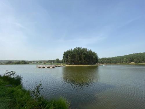 FoRest Inn in Jacnia
