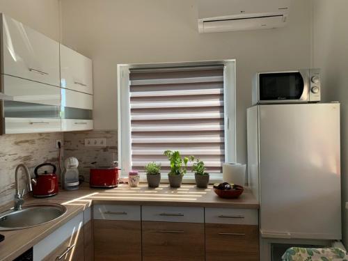 Facilities, Arvisura Vendeghazak family and pet friendly apartments in Domaszék