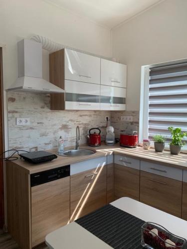 Kitchen, Arvisura Vendeghazak family and pet friendly apartments in Domaszék