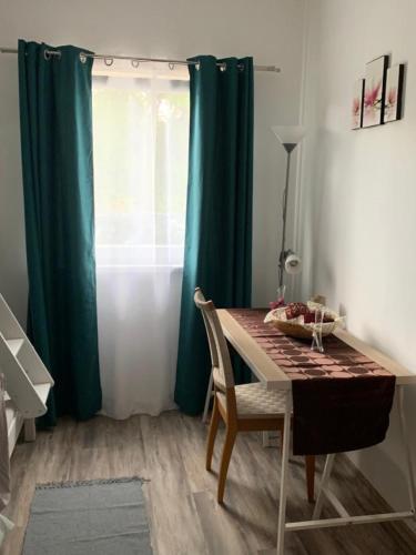 Arvisura Vendeghazak family and pet friendly apartments in Domaszék