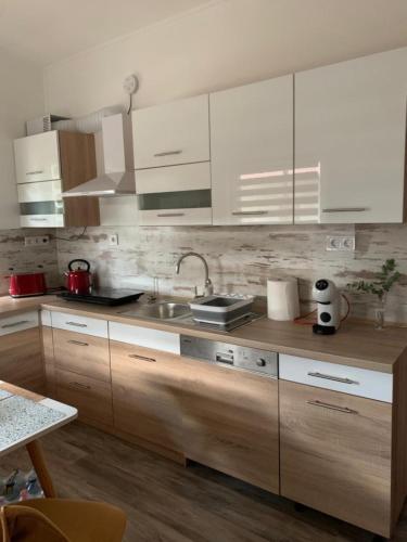 Facilities, Arvisura Vendeghazak family and pet friendly apartments in Domaszék
