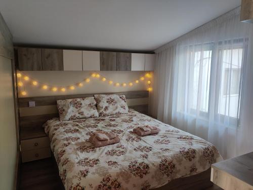 Zen Studio Slatina - Accommodation