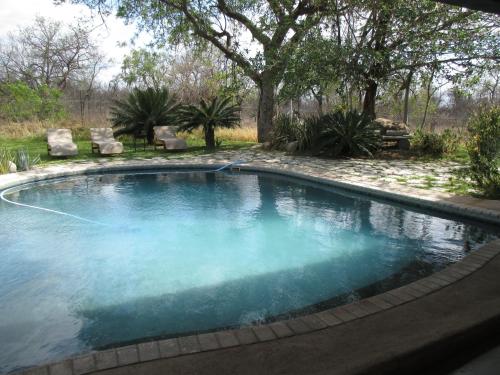 Swimming pool, Tingala Lodge - Bed in the Bush in Kruger National Park