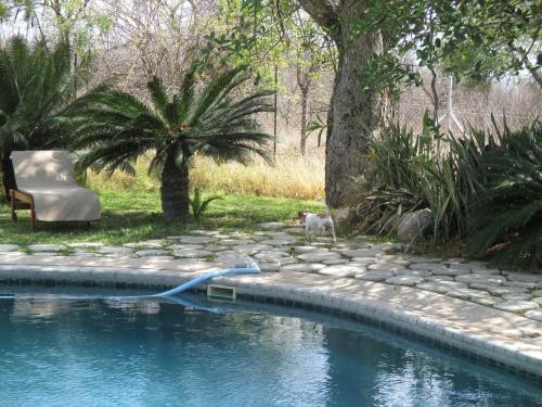 Swimming pool, Tingala Lodge - Bed in the Bush in Kruger National Park