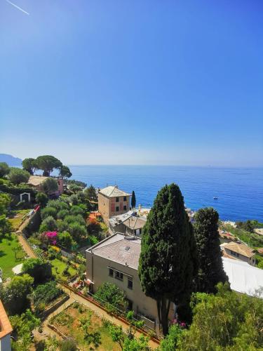  MareNostrum in Pieve Ligure