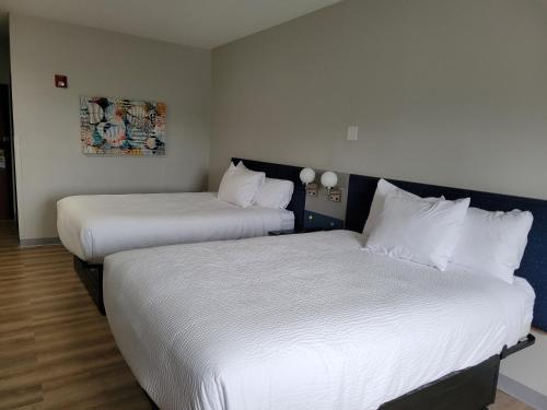 2 queen beds