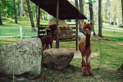 Taujėnų dvaro svečių namai Taujėnų dvaro svečių namai