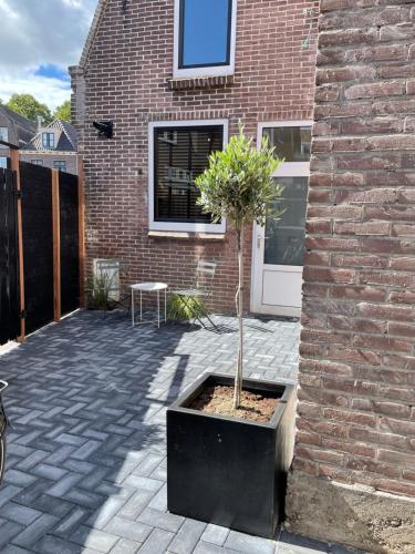 สวน, Vakantiehuis in het hart van Medemblik in มีเดมบลิก