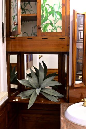 Tetide Home - image 5