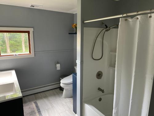 Catskill home with King bed, indoor hot tub and BBQ near Woodstock and skiing in Saugerties, USA