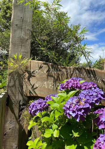 Cabañas Los Cantos del Chucao