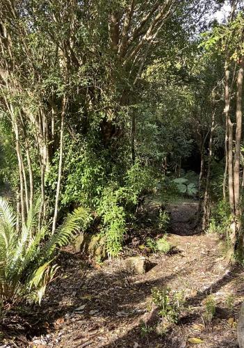 Cabañas Los Cantos del Chucao
