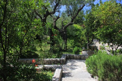 Apartments by the sea Cavtat Dubrovnik - 8826 - image 7