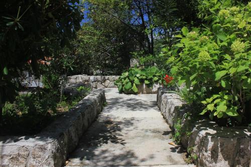 Apartments by the sea Cavtat Dubrovnik - 8826 - image 10