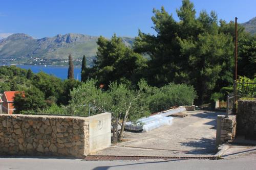 Apartments with a parking space Cavtat Dubrovnik - 9041 - image 4